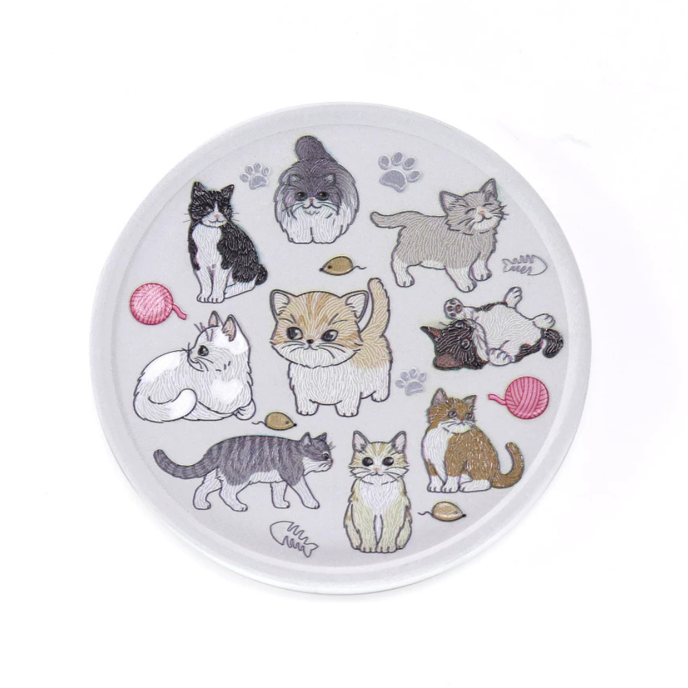 Absorbent Ceramic Coaster